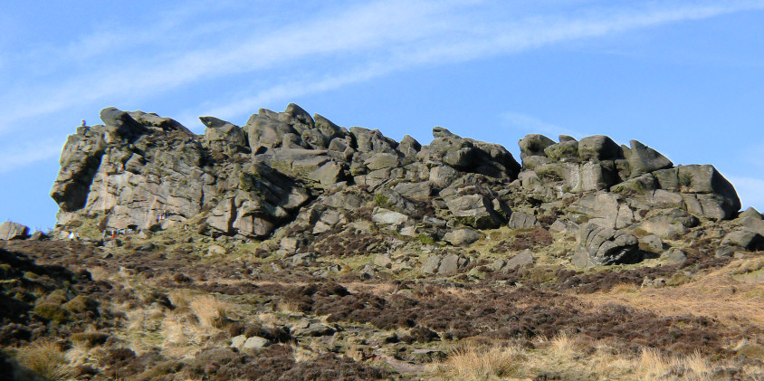 The Roaches The Roaches